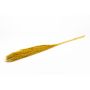Dried reed bunch DONJETA, curry, 4ft/115-120cm, Ø6"/15cm