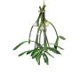 Decorative white berry mistletoe bunch NUORAN, frozen, fruits, green, 6"/15cm