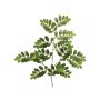 Decorative robinia branch WENLIN, green, 28"/70cm