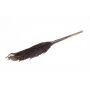 Dried reed bunch DONJETA, black, 28"-31"/70-80cm, Ø5.9"/15cm