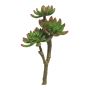 Artificial Echeveria elegans FEIFANG on spike, green-red, 12"/30cm