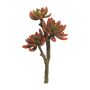 Artificial Echeveria elegans FEIFANG on spike, red-green, 12"/30cm