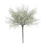 False santolina plant CHENJIA, spike, grey-white, 10"/25cm