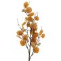Decorative eucalyptus branch YURUO, orange, 3ft/90cm