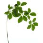 Artificial apple tree branch SHUYI, green, 33"/85cm