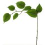 Artificial dogwood branch SHUNNAN, green, 31"/75cm