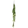 Decorative leaf cactus hanging plant HUALIAN with flowers, spike, cream, 3ft/100cm