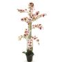 Artificial Phalaenopsis orchid CHENXU, pink-cream, 5ft/140cm