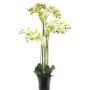 Artificial Phalaenopsis orchid CHENXU, white, 4ft/110cm