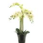 Artificial Phalaenopsis orchid CHENXU, white, 24"/60cm