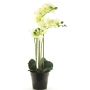 Artificial Phalaenopsis orchid CHENXU, white, 22"/55cm