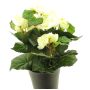 Artificial begonia HETIAN, cream, 10"/25cm