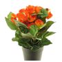 Artificial begonia HETIAN, orange, 10"/25cm