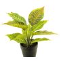 Artificial Croton SUNLAN in decorative pot, green-yellow, 10"/25cm