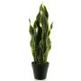 Artificial sansevieria ANQING in decorative pot, green-yellow, 20"/50cm