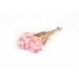 Dried Italian strawflower bouquet BIBIANA, pale pink, 12"-16"/30-40cm, Ø6"/15cm
