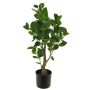 Plastic aralia plant SHANG, artificial trunk, green, 26"/65cm