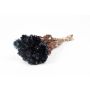 Dried Italian strawflower bouquet BIBIANA, black, 12"-16"/30-40cm, Ø6"/15cm