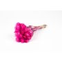 Dried Italian strawflower bouquet BIBIANA, fuchsia, 12"-16"/30-40cm, Ø6"/15cm