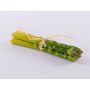 False asparagus ONRIE, 9"/23cm, Ø3.1"/8cm
