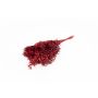 Dried ruscus branches AGNIATA, red, 28"-30"/70-75cm, Ø7"/17cm