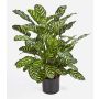 Artificial Calathea BADU, small, green-yellow, 31"/80cm