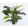 Fake Spathiphyllum ABBY, with flowers, white, 30"/75cm
