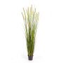 Fake foxtail grass FREDERIK with panicles, green-yellow, 6ft/180cm