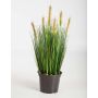 Fake foxtail grass FELIX with panicles, green-yellow, 24"/60cm