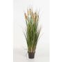 Silk reed grass AISAKE with spadices, green-yellow-brown, 4ft/120cm