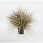 Artificial dune grass FABIAN, green-brown, 28"/70cm