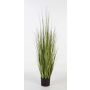 Silk sedge grass SABURO, green, 4ft/120cm