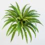 Artificial Lady fern LEAN, on spike, green, 22"/55cm, Ø 28"/70cm