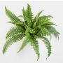 Fake Boston fern SAMUEL, on spike, green, 16"/40cm, Ø 20"/50cm