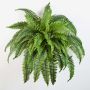 Fake Boston fern SAMUEL, on spike, green, 24"/60cm, Ø 3ft/90cm