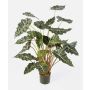 Artificial Alocasia Sanderiana SHIVA, green-white, 4ft/110cm
