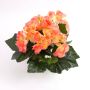 Silk begonia IVANA on spike, salmon, 8"/20cm, Ø1.2"-2"/3-5cm