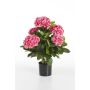 Artificial hydrangea HARUKA, pink, 22"/55cm, Ø4"-6"/10-15cm