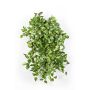 Artificial Pothos RAHU, on spike, green, 22"/55cm