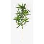 Artificial Podocarpus spray CHIKO, green, 20"/50cm
