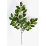 Artificial Ficus foliage spray AJITH, green, 18"/45cm