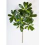 Artificial Pittosporum spray MASON, green, 16"/40cm