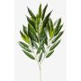 Artificial Ficus Longifolia spray RANJAN, green, 31"/80cm