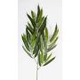 Artificial Ficus Longifolia spray NILAY, green, 26"/65cm