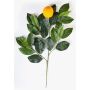 Artificial Orange foliage spray ADRIANA, with fruits, green, 24"/60cm