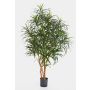 Fake Dracaena Anita KAYLIN, natural stems, green, 4ft/120cm