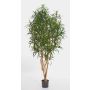 Fake Dracaena Anita KAYLIN, natural stems, green, 5ft/150cm
