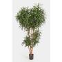 Artificial Dracaena Reflexa Anita KATARA, real stems, green, 7ft/210cm