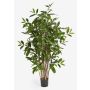Plastic Dracaena Surculosa SIMBA, natural stems, green, 3ft/90cm