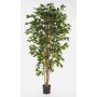 Artificial Ficus tree AVELLINO, real stems, green, 4ft/120cm